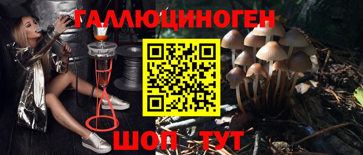 Янаул  Псилоцибиновые грибы Psilocybine cubensis  где найти наркотики  Вход с VPN 