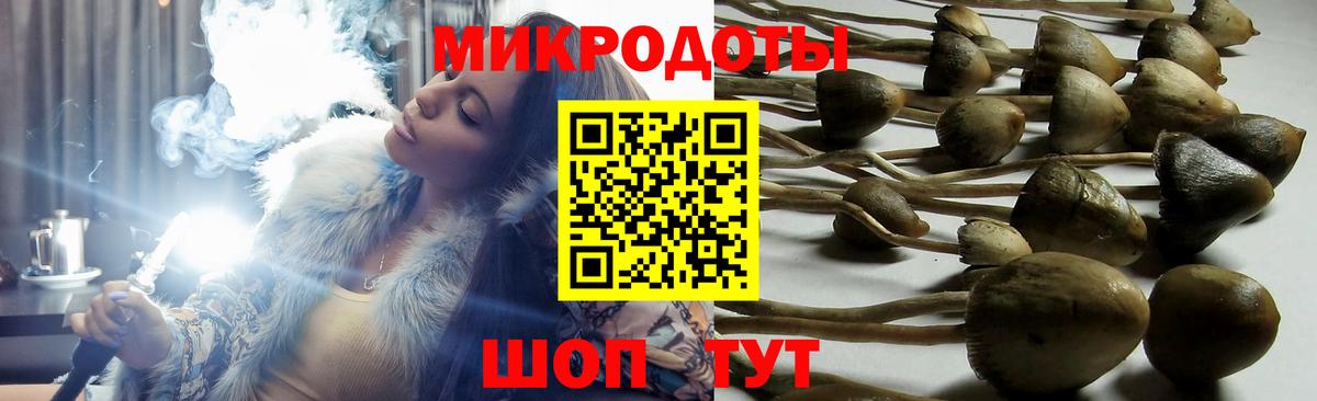 Галлюциногенные грибы Psilocybine cubensis Янаул